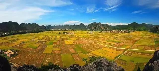 中國(guó)經(jīng)濟(jì)體制改革基金會(huì)全國(guó)第一！中國(guó)改革熱度第三方評(píng)估出爐，云浮宣傳系數(shù)在全國(guó)343個(gè)城市居首位                             